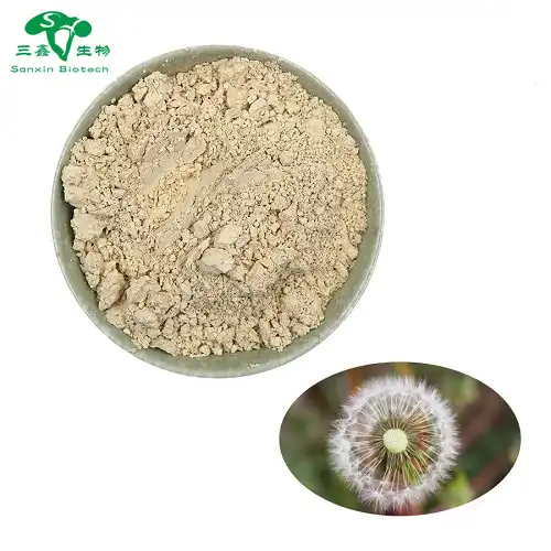 Dandelion Root Extract Powder